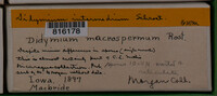 Image Associated With the Occurence